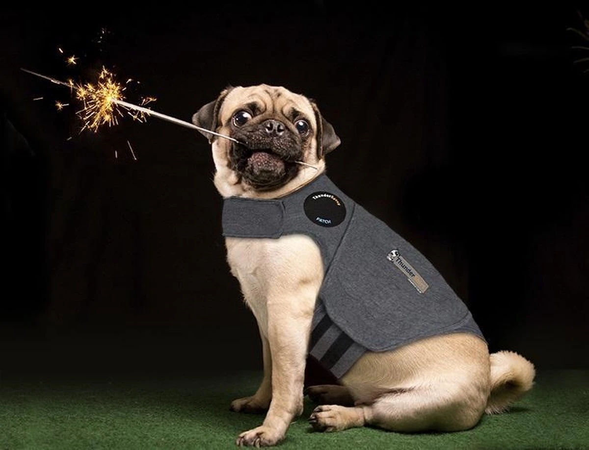 Thundershirt Antistress Vest - Dieren Antistressmiddel - Hond - Grijs - S - 43-53 Cm 11 Thundershirt Antistress Vest - Dieren Antistressmiddel - Hond - Grijs - S - 43-53 Cm - Afbeelding 9
