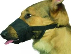 Beeztees Comfort Muilband - Hond - XXL - 23-33 Cm -Exporteren Alles Voor Honden Winkel 1200x920