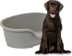 Flamingo - Hondenmand Domus - Grijs - 110 X 74 X 30 Cm -Exporteren Alles Voor Honden Winkel 1200x931