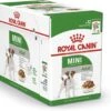 Royal Canin Shn Mini Adult Pouch - Hondenvoer - 12 X 85 G 2 Royal Canin Shn Mini Adult Pouch - Hondenvoer - 12 X 85 G -Exporteren Alles Voor Honden Winkel 1200x932 1