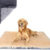 Nobleza Fluffy Benchkussen - Dierenkussen - Hondenkussen - Kattenkussen - Benchmat - Dierenmat - Hondenmat - Kattenmat - Crème - Maat L -Exporteren Alles Voor Honden Winkel 1200x936 7