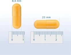 Pharmox Hond & Kat Groenlipmossel 60 Capsules 13 Pharmox Hond & Kat Groenlipmossel 60 Capsules -Exporteren Alles Voor Honden Winkel 1200x937 3