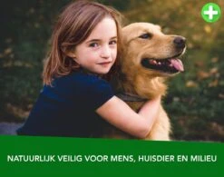 Teken- En Vlooienband Voor Honden PLUS - Natuurlijk Middel Tegen Vlooien En Teken - 100% Natuurlijk - 65 CM - Tot 8 Maand Werkzaam - Biologisch -Exporteren Alles Voor Honden Winkel 1200x945 3