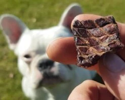 Topdiervoeding Runderlong Trainers Hondensnacks - Gedroogd En Vetarm - 1 KG 11 Topdiervoeding Runderlong Trainers Hondensnacks - Gedroogd En Vetarm - 1 KG -Exporteren Alles Voor Honden Winkel 1200x960