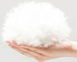 BEESSIES® Donut Hondenmand/hondenkussen 120 Cm - Wasbare Hoes - Zwart - Hond Kussen Mand 11 BEESSIES® Donut Hondenmand/hondenkussen 120 Cm - Wasbare Hoes - Zwart - Hond Kussen Mand -Exporteren Alles Voor Honden Winkel 1200x963 3