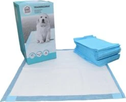 Homestyle Budget Trainingsmat - Zindelijkstraining - 100 Stuks - 58x58 Cm -Exporteren Alles Voor Honden Winkel 1200x971 1