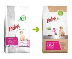 Prins Procare Puppy/Junior - 7.5 KG 34 Prins Procare Puppy/Junior - 7.5 KG -Exporteren Alles Voor Honden Winkel 1200x975 2