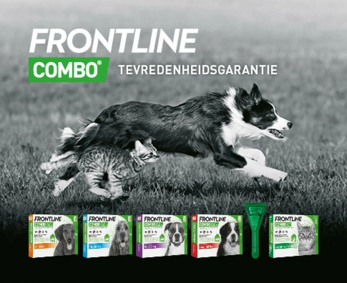 Frontline Combo - XL: Van 40 Tot 60 Kg - Anti Vlooienmiddel En Tekenmiddel - Hond - 6 Pipetten 4 Frontline Combo - XL: Van 40 Tot 60 Kg - Anti Vlooienmiddel En Tekenmiddel - Hond - 6 Pipetten - Afbeelding 2