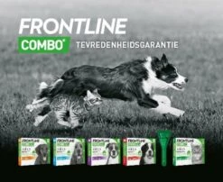 Frontline Combo - L: Van 20 Tot 40 Kg - Anti Vlooienmiddel En Tekenmiddel - Hond - 3 Pipetten 21 Frontline Combo - L: Van 20 Tot 40 Kg - Anti Vlooienmiddel En Tekenmiddel - Hond - 3 Pipetten -Exporteren Alles Voor Honden Winkel 1200x979 4