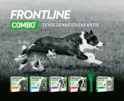 Frontline Combo - M: Van 10 Tot 20 Kg - Anti Vlooienmiddel En Tekenmiddel - Hond - 3 Pipetten -Exporteren Alles Voor Honden Winkel 1200x979 5