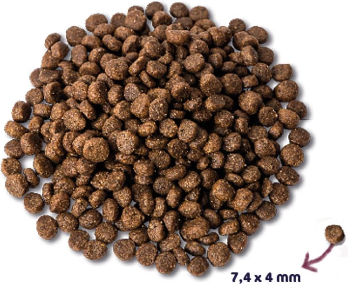 Renske Super Premium Mini Kip & Lam - Hondenvoer - 2 Kg 4 Renske Super Premium Mini Kip & Lam - Hondenvoer - 2 Kg - Afbeelding 2