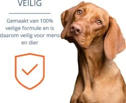 Merkloos Vlooienband Hond - 8 Maanden Bescherming - Vlooienband - Natuurlijk - Tekenband - Anti Vlooien - 63cm - Fit All Sizes - Vlooienbandjes Hond - Vlooien - Teken 19 Merkloos Vlooienband Hond - 8 Maanden Bescherming - Vlooienband - Natuurlijk - Tekenband - Anti Vlooien - 63cm - Fit All Sizes - Vlooienbandjes Hond - Vlooien - Teken -Exporteren Alles Voor Honden Winkel 1200x987 2