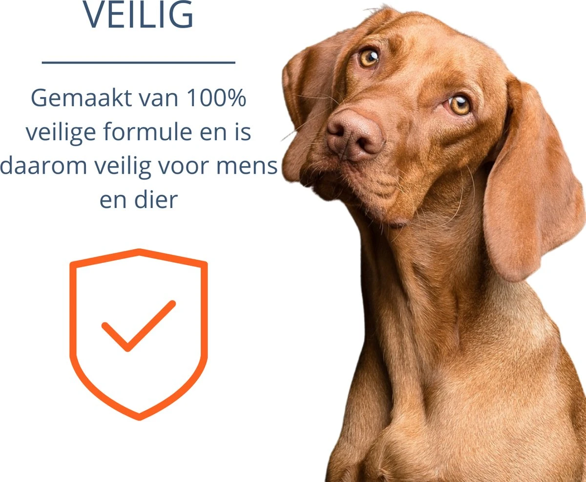 Merkloos Vlooienband Hond - 8 Maanden Bescherming - Vlooienband - Natuurlijk - Tekenband - Anti Vlooien - 63cm - Fit All Sizes - Vlooienbandjes Hond - Vlooien - Teken 11 Merkloos Vlooienband Hond - 8 Maanden Bescherming - Vlooienband - Natuurlijk - Tekenband - Anti Vlooien - 63cm - Fit All Sizes - Vlooienbandjes Hond - Vlooien - Teken - Afbeelding 9