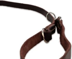 Multifunctionele Hondenriem - 220cm - Bruin - Leren Hondenriem - 100% Volnerfleer - Hondenriem Leer - Leiband Hond -Exporteren Alles Voor Honden Winkel 1200x993 3
