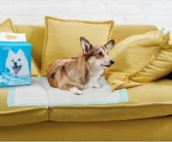 Nobleza 48LXB - Puppy Training Pads - 60 X 90 Cm - Zindelijkheidstraining - 100 Stuks -Exporteren Alles Voor Honden Winkel 1200x997 1