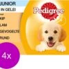 Pedigree Pouch Junior Multipack - Hondenvoer - 4 X 12x100 G -Exporteren Alles Voor Honden Winkel 1200x997