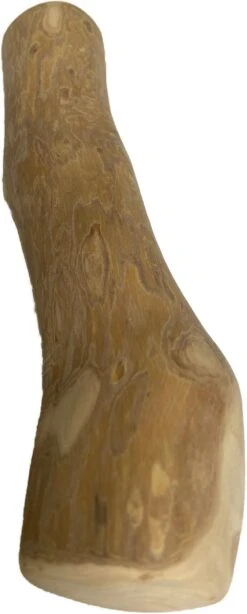 BoDutch - Koffieboom Kauwwortel - Maat L - Hondensnack -Exporteren Alles Voor Honden Winkel 483x1200