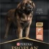 Pro Plan Large Robust Adult Sensitive Skin - Honden Droogvoer - Zalm - 14 Kg -Exporteren Alles Voor Honden Winkel 544x1200