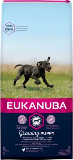 Eukanuba Dog Puppy Large Breed - Kip - Puppyvoer - 15 Kg 8 Eukanuba Dog Puppy Large Breed - Kip - Puppyvoer - 15 Kg -Exporteren Alles Voor Honden Winkel 550x1200