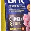 Brit Premium By Nature Hondenvoer Junior M 15 Kg - Hond -Exporteren Alles Voor Honden Winkel 551x1200