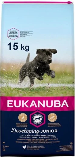 Eukanuba Developing Junior Large Breed Kip - Hondenvoer - 15 Kg -Exporteren Alles Voor Honden Winkel 574x1200 1