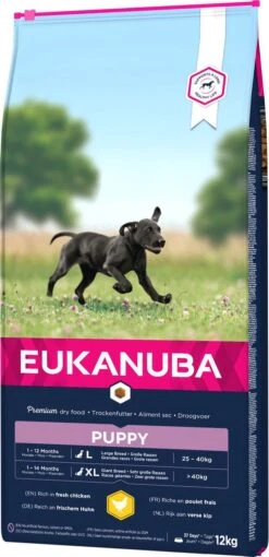 Eukanuba Dog Puppy Large Breed - Kip - Puppyvoer - 15 Kg 9 Eukanuba Dog Puppy Large Breed - Kip - Puppyvoer - 15 Kg -Exporteren Alles Voor Honden Winkel 581x1200 10