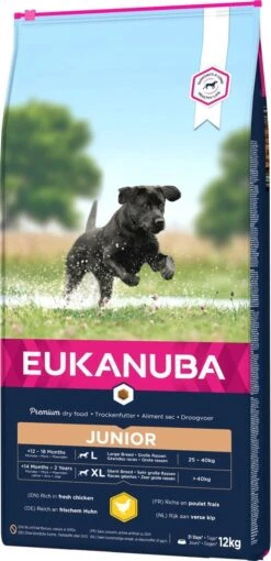 Eukanuba Developing Junior Large Breed Kip - Hondenvoer - 15 Kg -Exporteren Alles Voor Honden Winkel 581x1200 4