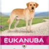 Eukanuba Dog Labrador Retriever - 12 KG 1 Eukanuba Dog Labrador Retriever - 12 KG -Exporteren Alles Voor Honden Winkel 589x1200 2
