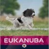 Eukanuba Dog Adult - Gemiddelde Rassen - Kip - Droogvoer - 12 Kg 2 Eukanuba Dog Adult - Gemiddelde Rassen - Kip - Droogvoer - 12 Kg -Exporteren Alles Voor Honden Winkel 590x1200