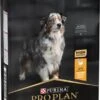 Pro Plan Medium & Large Adult 7+ (Senior) Age Defence - Honden Droogvoer- Kip - 14 Kg -Exporteren Alles Voor Honden Winkel 590x1200 4