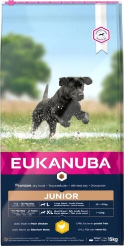 Eukanuba Developing Junior Large Breed Kip - Hondenvoer - 15 Kg -Exporteren Alles Voor Honden Winkel 607x1200 1