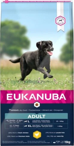 Eukanuba Dog Adult Large Breed - Kip - Hondenvoer - 15 Kg -Exporteren Alles Voor Honden Winkel 607x1200 2