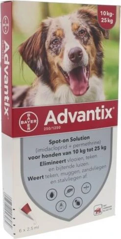 Bayer Advantix Vlooien & Teken Pipetten - Hond 10 Tot 25kg - 6 Stuks -Exporteren Alles Voor Honden Winkel 610x1200 2