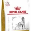 Royal Canin Veterinary Diet Urinary S/O Ageing 7+ Hond 8kg 2 Royal Canin Veterinary Diet Urinary S/O Ageing 7+ Hond 8kg -Exporteren Alles Voor Honden Winkel 620x1200 1