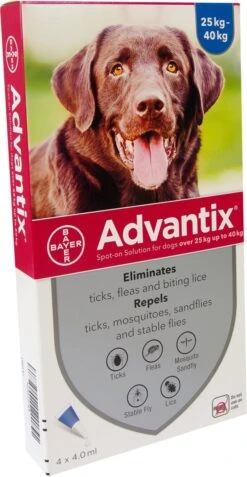 Bayer Advantix Vlooien & Teken Pipetten - Hond 4 Tot 10 Kg - 4 Stuks -Exporteren Alles Voor Honden Winkel 622x1200 1