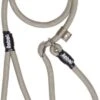 Rebel Petz - Honden Trainingslijn Met Halsband - Taupe, Zwart, Groen & Oranje - Maat Small Of Large - Kleur: Taupe, Maat: Large -Exporteren Alles Voor Honden Winkel 642x1200 2