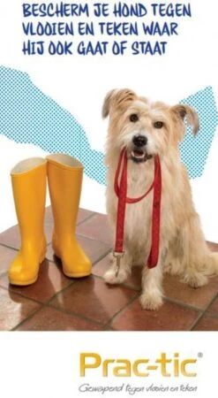 Prac-tic Grote Hond 22 Tot 50 Kg - 1 St à 3 Pipetten 20 Prac-tic Grote Hond 22 Tot 50 Kg - 1 St à 3 Pipetten -Exporteren Alles Voor Honden Winkel 658x1200 11
