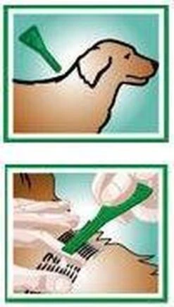 Frontline Combo - L: Van 20 Tot 40 Kg - Anti Vlooienmiddel En Tekenmiddel - Hond - 3 Pipetten 28 Frontline Combo - L: Van 20 Tot 40 Kg - Anti Vlooienmiddel En Tekenmiddel - Hond - 3 Pipetten -Exporteren Alles Voor Honden Winkel 681x1200 1