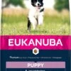 Eukanuba Puppy Small & Medium Breed | Lam,2.5 Kg -Exporteren Alles Voor Honden Winkel 685x1200
