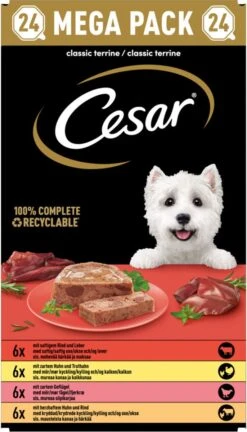 Cesar Classic Mix Paté Hondenvoer Maaltijdkuipjes 24 X 150 G -Exporteren Alles Voor Honden Winkel 686x1200 4