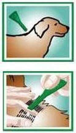 Beaphar Fiprotec Vlooien- En Tekenmiddel Hond 10-20 Kg - 4 Pipetten 20 Beaphar Fiprotec Vlooien- En Tekenmiddel Hond 10-20 Kg - 4 Pipetten -Exporteren Alles Voor Honden Winkel 688x1200 4