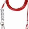 Trixie Aanleglijn Rood - 5 MTR -Exporteren Alles Voor Honden Winkel 702x1200