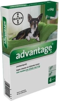 Bayer Anti Vlooienmiddel Advantage 400 25 - 40 Kg - 4 Pipetten 29 Bayer Anti Vlooienmiddel Advantage 400 25 - 40 Kg - 4 Pipetten -Exporteren Alles Voor Honden Winkel 703x1200 1