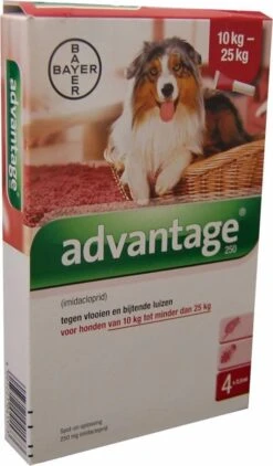 Bayer Advantage 100 Hond 4-10 Kg - 4 Pipetten à 1,0 Ml 26 Bayer Advantage 100 Hond 4-10 Kg - 4 Pipetten à 1,0 Ml -Exporteren Alles Voor Honden Winkel 703x1200 3