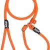 Rebel Petz - Honden Trainingslijn Met Halsband - Taupe, Zwart, Groen & Oranje - Maat Small Of Large - Kleur: Oranje, Maat: Large -Exporteren Alles Voor Honden Winkel 706x1200 4