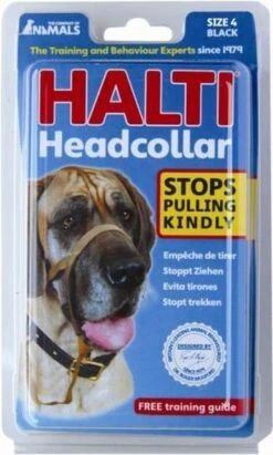 Halti Headcollar - Maat 2 18 Halti Headcollar - Maat 2 -Exporteren Alles Voor Honden Winkel 721x1200 2