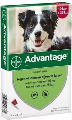 Bayer Advantage 100 Hond 4-10 Kg - 4 Pipetten à 1,0 Ml 29 Bayer Advantage 100 Hond 4-10 Kg - 4 Pipetten à 1,0 Ml -Exporteren Alles Voor Honden Winkel 726x1200 3