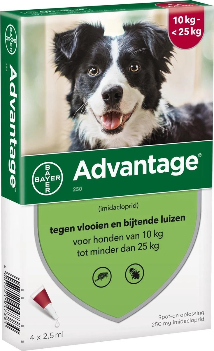 Bayer Advantage 250 Vlooiendruppels Hond 10-25 Kg - 4 Pipetten 3 Bayer Advantage 250 Vlooiendruppels Hond 10-25 Kg - 4 Pipetten