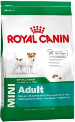 Royal Canin Mini Adult 8 KG -Exporteren Alles Voor Honden Winkel 741x1200 1