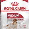 Royal Canin Medium Adult 15 KG 1 Royal Canin Medium Adult 15 KG -Exporteren Alles Voor Honden Winkel 743x1200